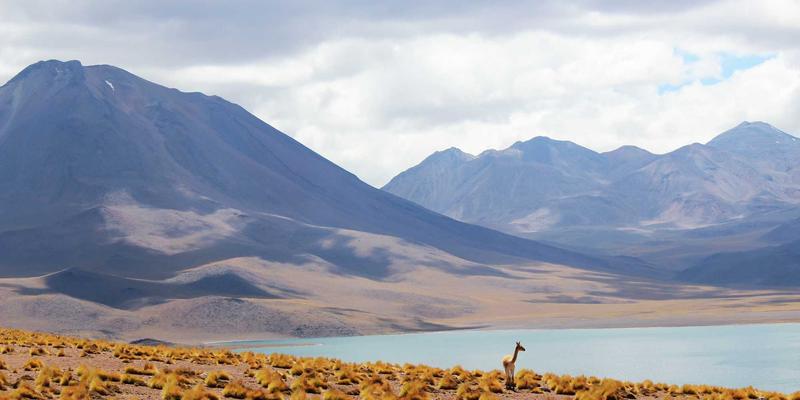 丰色传媒元宇宙营销实战:如何构建虚拟空间品牌体验与用户深度互动新范式