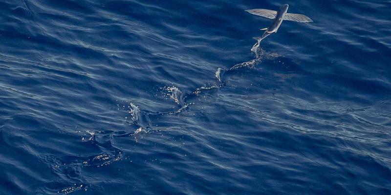 从流量到留量：丰色传媒如何通过零售终端数字化，重构品牌营销增长闭环