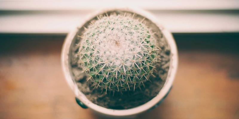 从直觉到智能：丰色传媒如何用数据驱动营销，让创意与效果完美融合