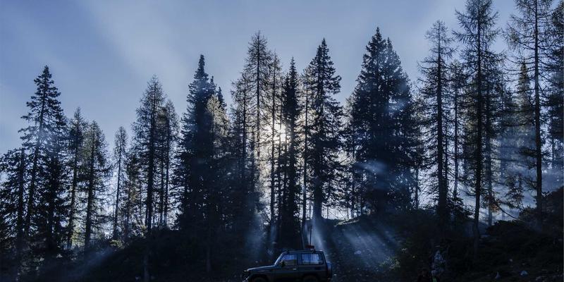 触点革命：丰色传媒如何通过全链路用户体验地图，将品牌战略转化为增长引擎